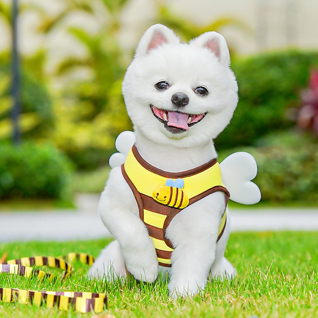 Bee Pet Harness Set – Cute Dog Cat Leash Outfit_CWMM11161