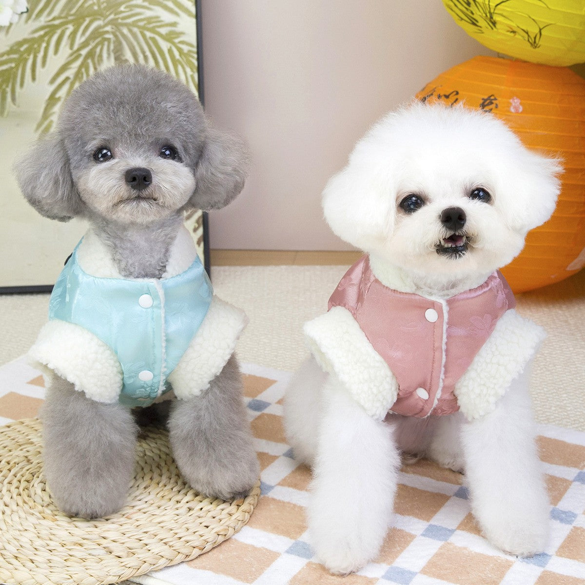 Elegant Korean Dog Winter Coat Small Doga_CWMM12278