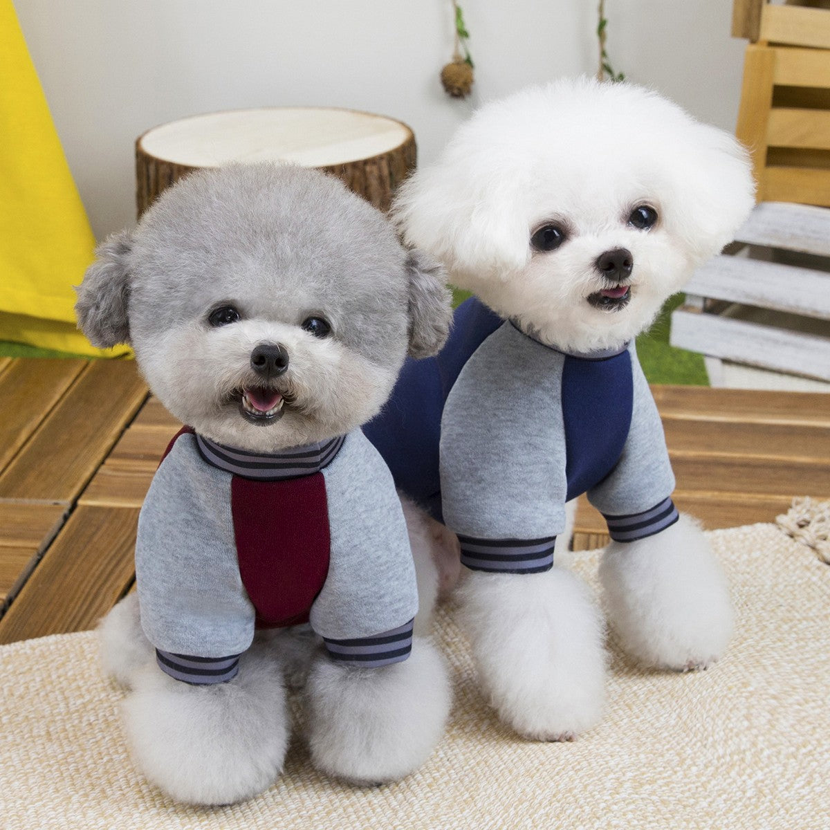 European Style Thick Dog Hoodie Small Dogs_CWMM12253