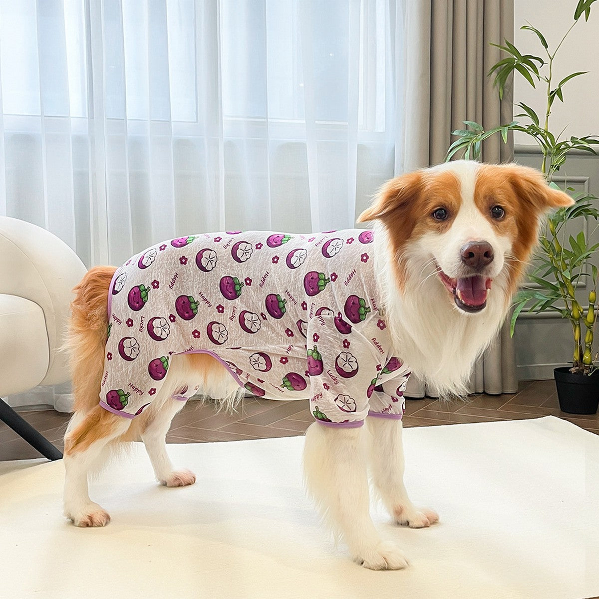 Spring Summer Cat & Dog Rompers_CWMM11132