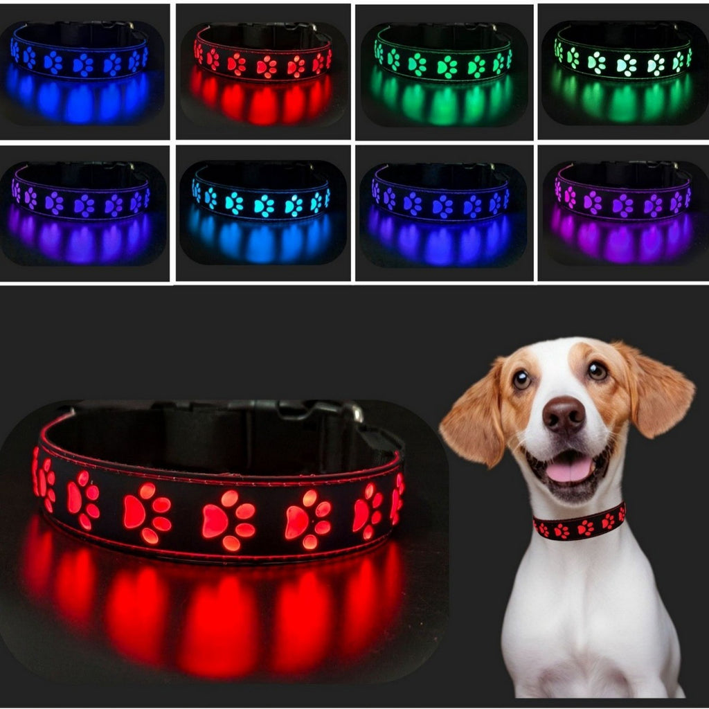 LED Paw Dog Collar USB Rechargeable Safety_CWMM11454