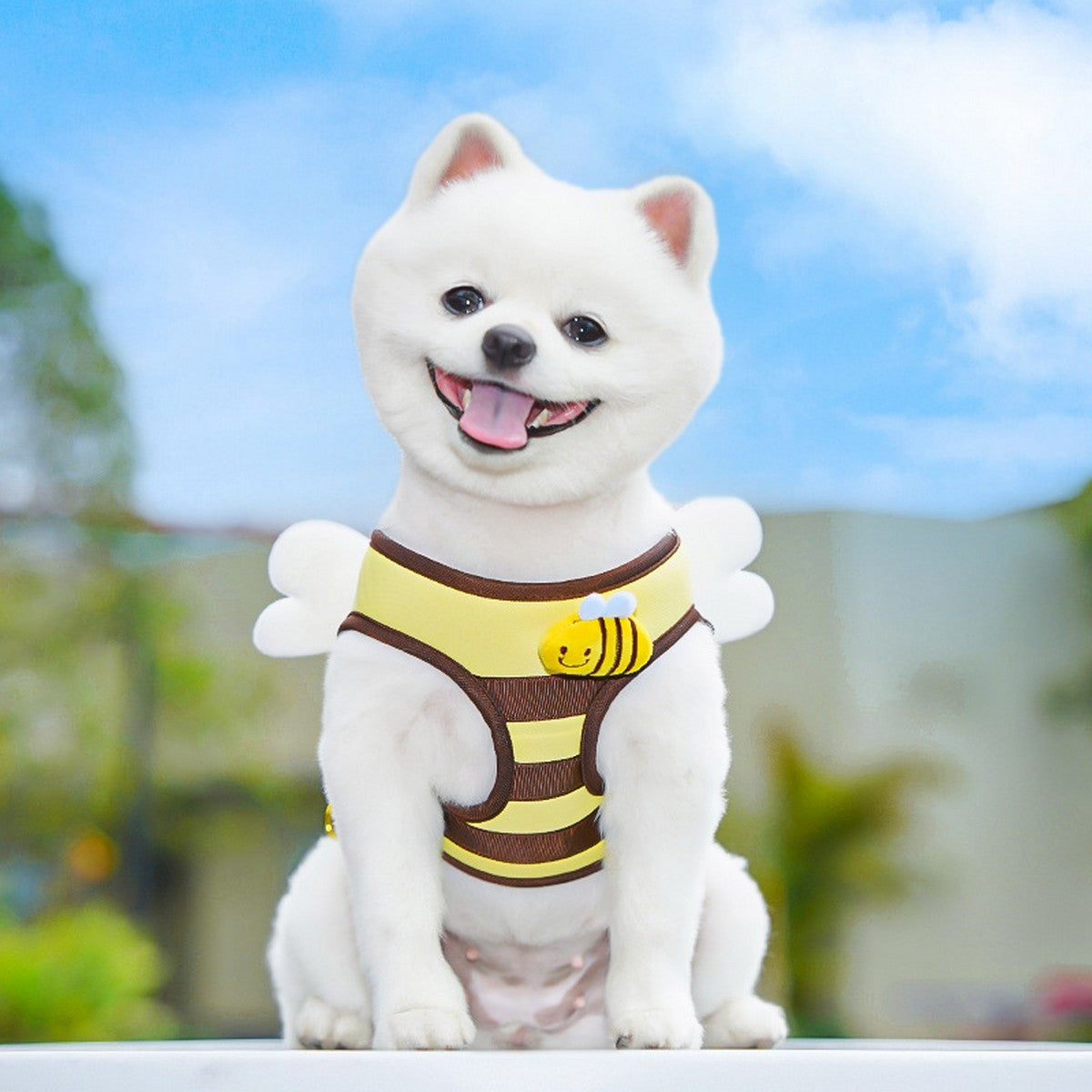 Bee Pet Harness Set – Cute Dog Cat Leash Outfit_CWMM11161