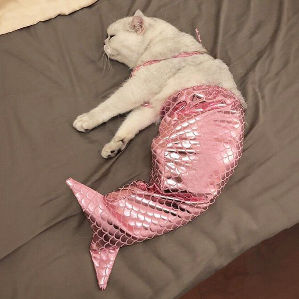 Pet Standing Mermaid Costume Outfit_CWMM12880