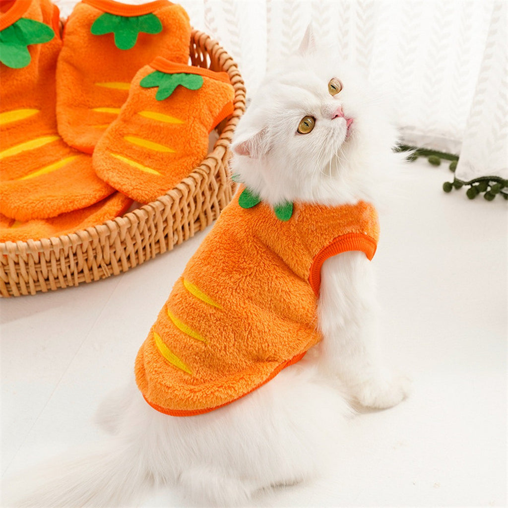 Wholesale Carrot Dog Clothes for Winter Teddy Bichon Corgi_CWMM11129