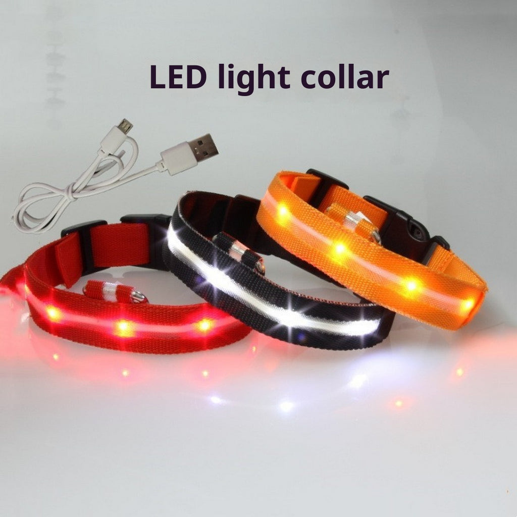 LED Nylon Dog Collar USB Night Safety Glow_CWMM11453