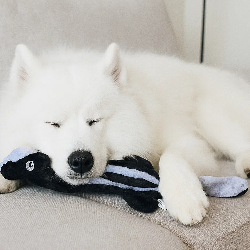 Squeaky Plush Skunk Toy for Dogs & Cats_CWMM13297