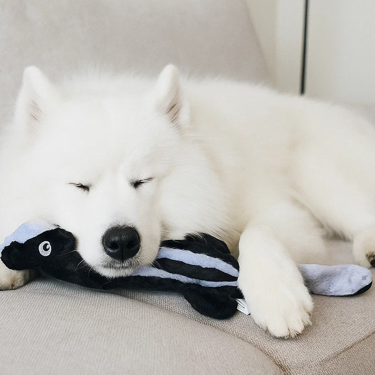 Squeaky Plush Skunk Toy for Dogs & Cats_CWMM13297