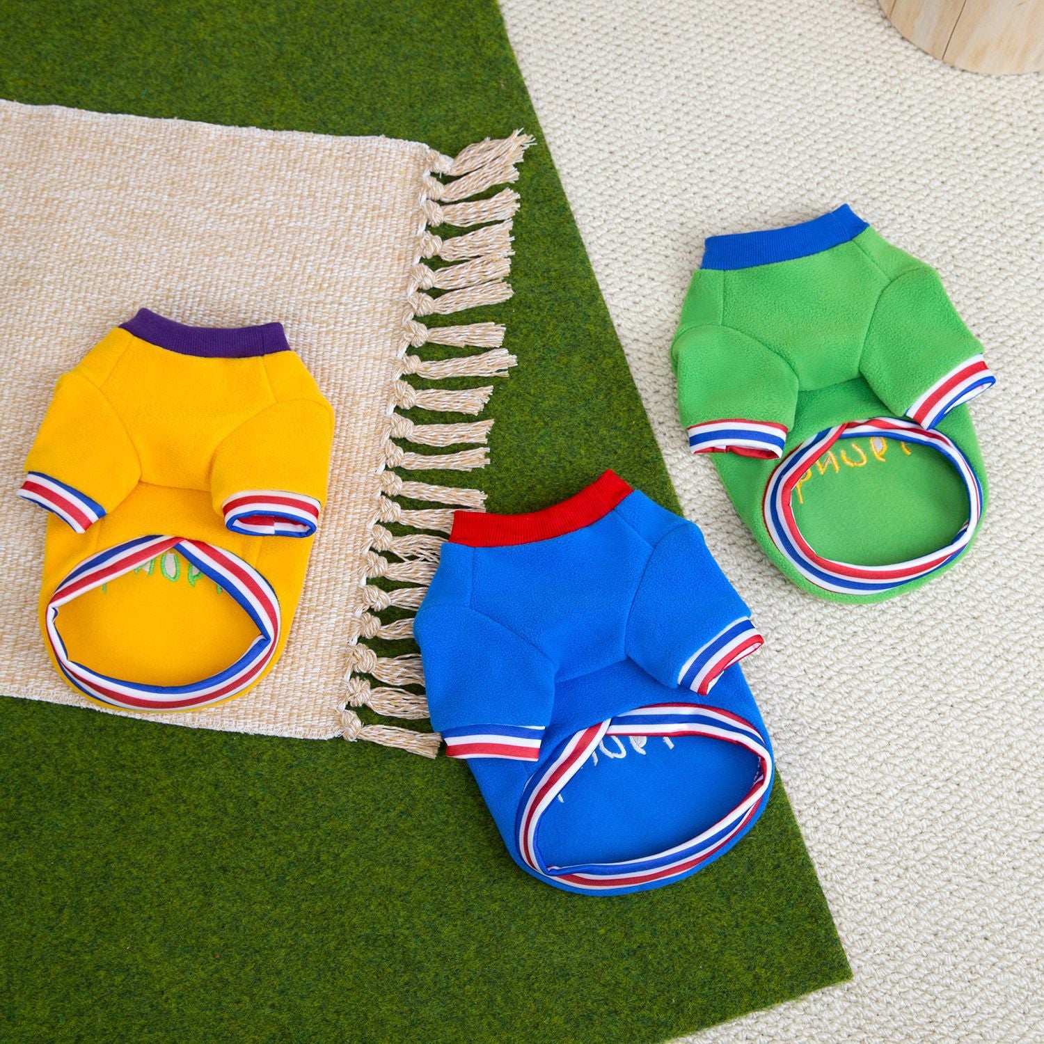 Warm Fleece Dog Hoodie for Small Dogs_CWMM12198