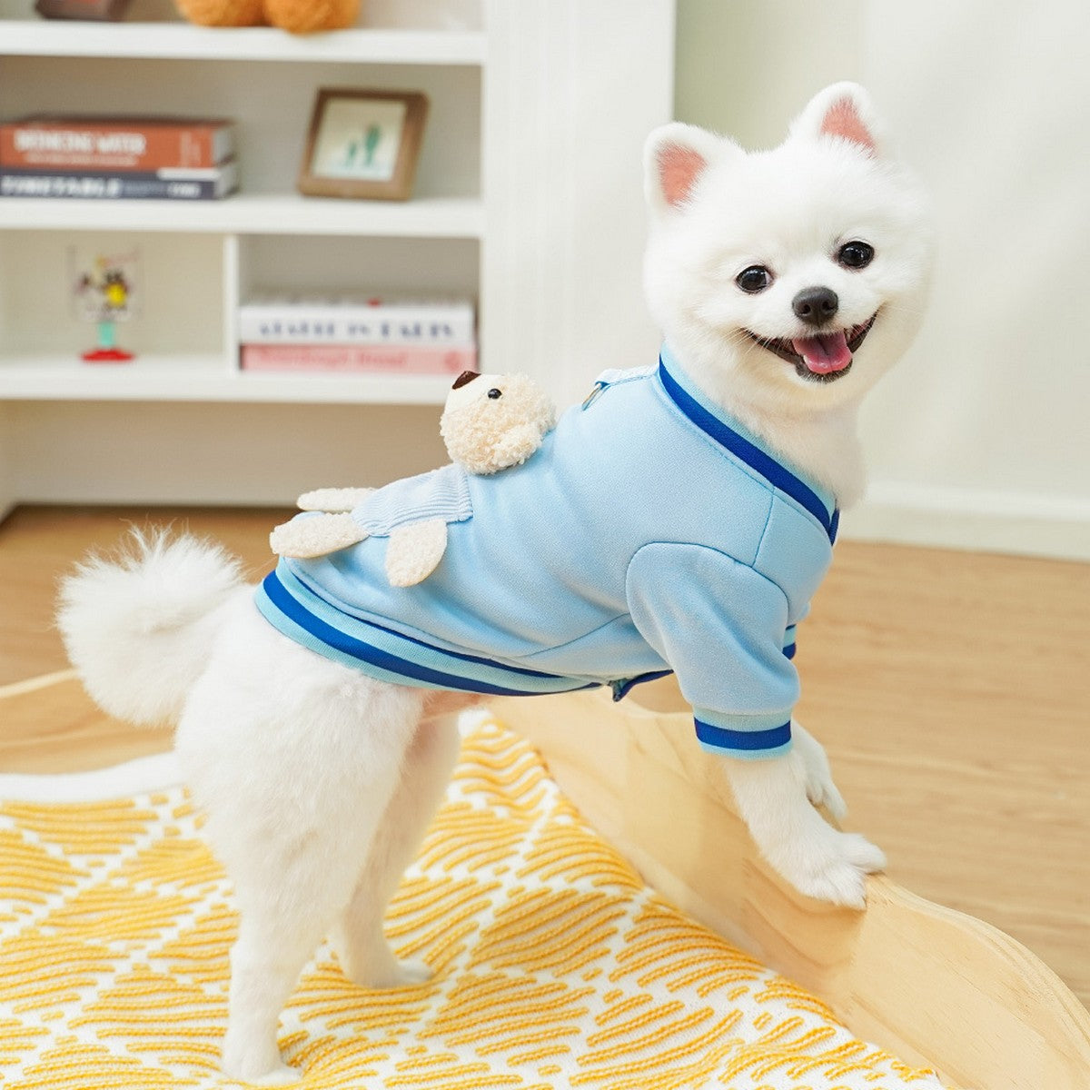 Trendy Pet Jacket – Warm Sporty Baseball Look_CWMM11169