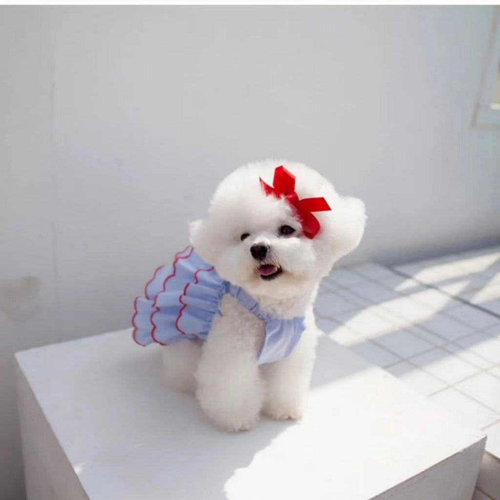 Cute Summer Pet Dress – Breathable Outfit_CWMM11170