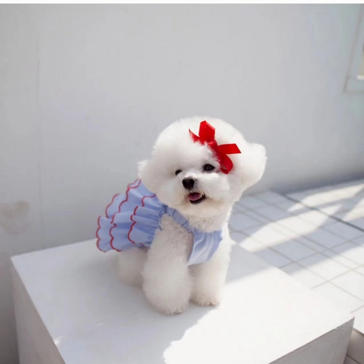 Cute Summer Pet Dress – Breathable Outfit_CWMM11170