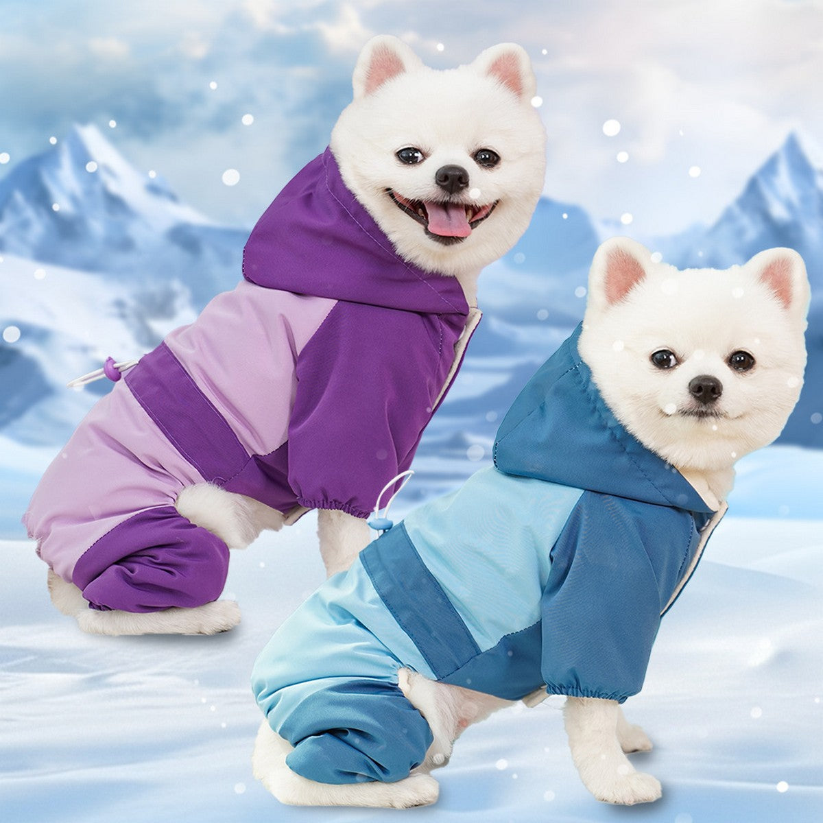 Waterproof 4-Leg Winter Jacket for Large Dogs_CWMM11079