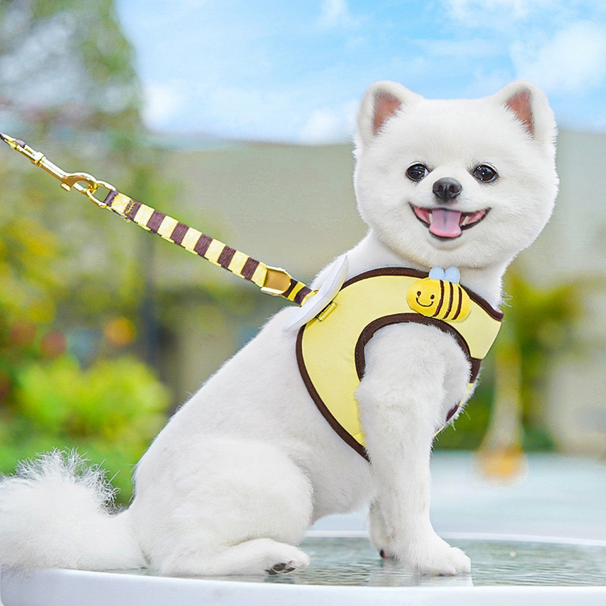 Bee Pet Harness Set – Cute Dog Cat Leash Outfit_CWMM11161