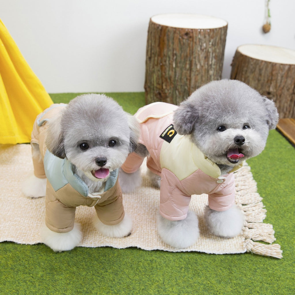Teddy Bichon Dog Four-Leg Cotton Vest_CWMM12230