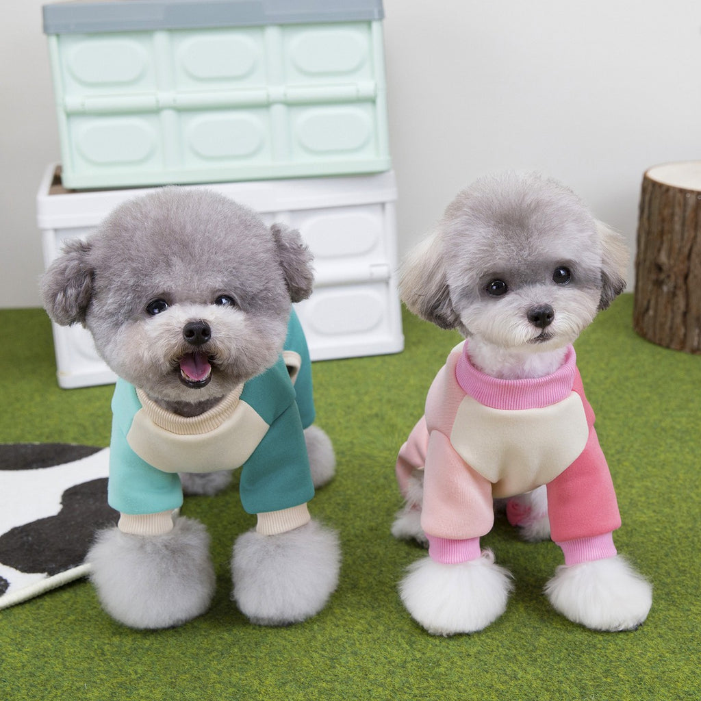 Winter Lion Dog Hoodie Jumpsuit Small Dogs_CWMM12258