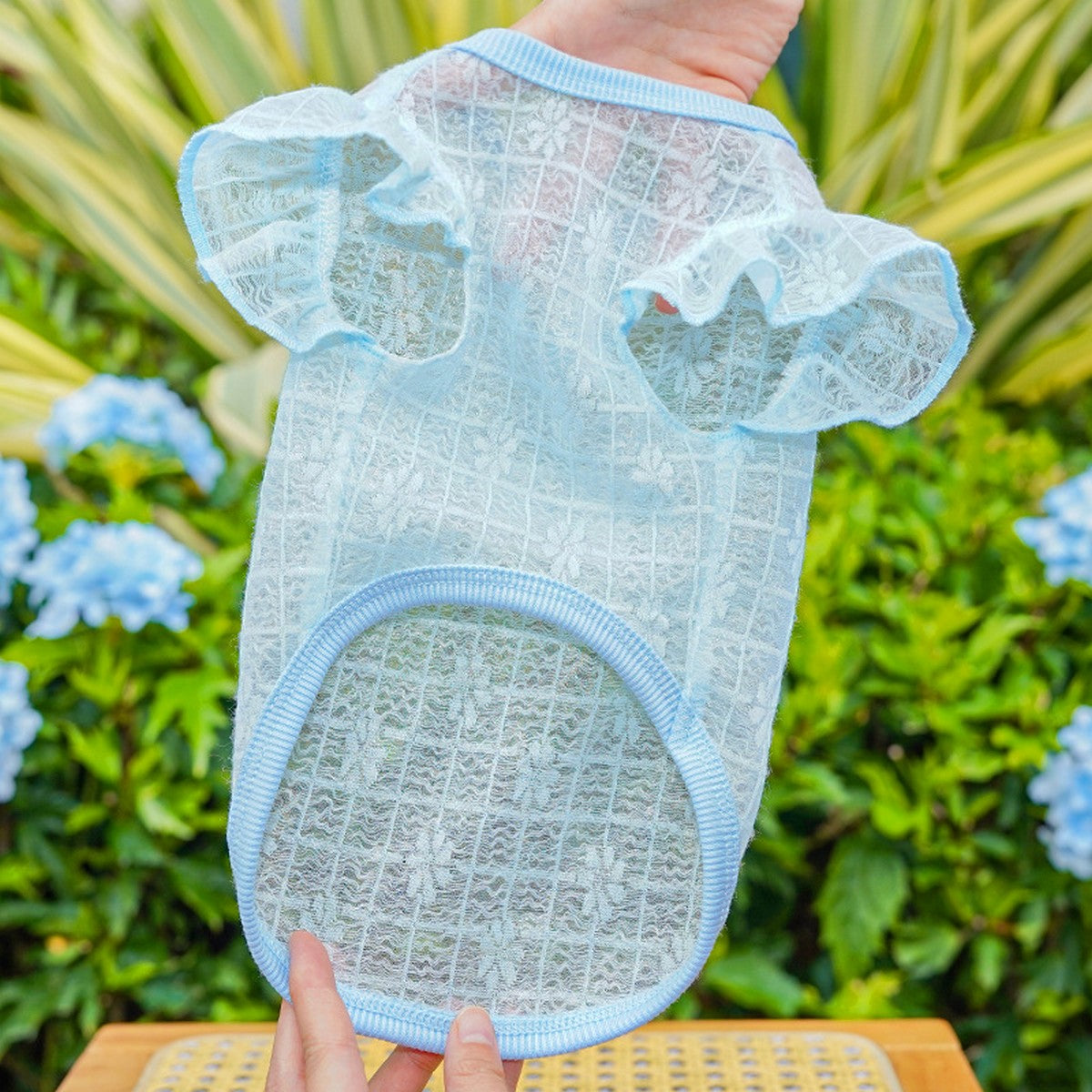 Flutter Sleeve Top with Soft Stretch_CWMM11127