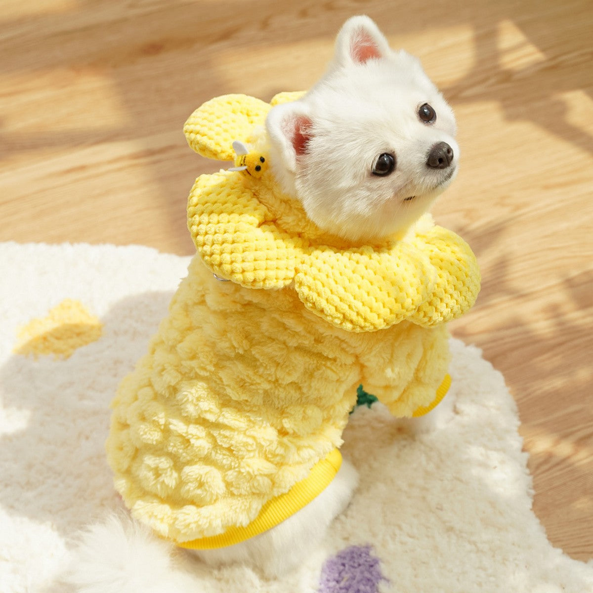 Sunflower Pet Hoodie – Warm Funny Dog Cat Wear_CWMM11155