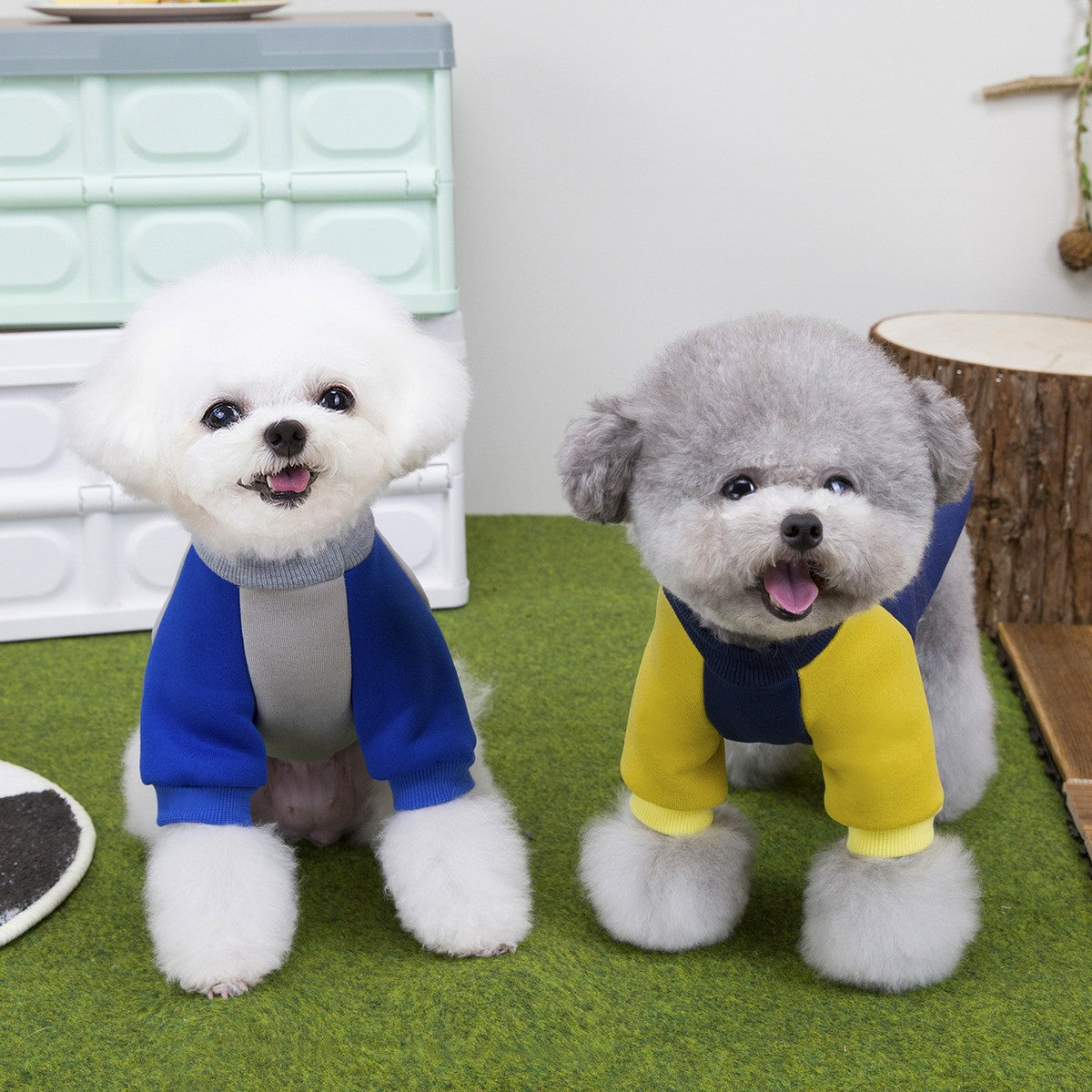 Warm Fleece Dog Hoodie Teddy Bichon Yorkie_CWMM12249