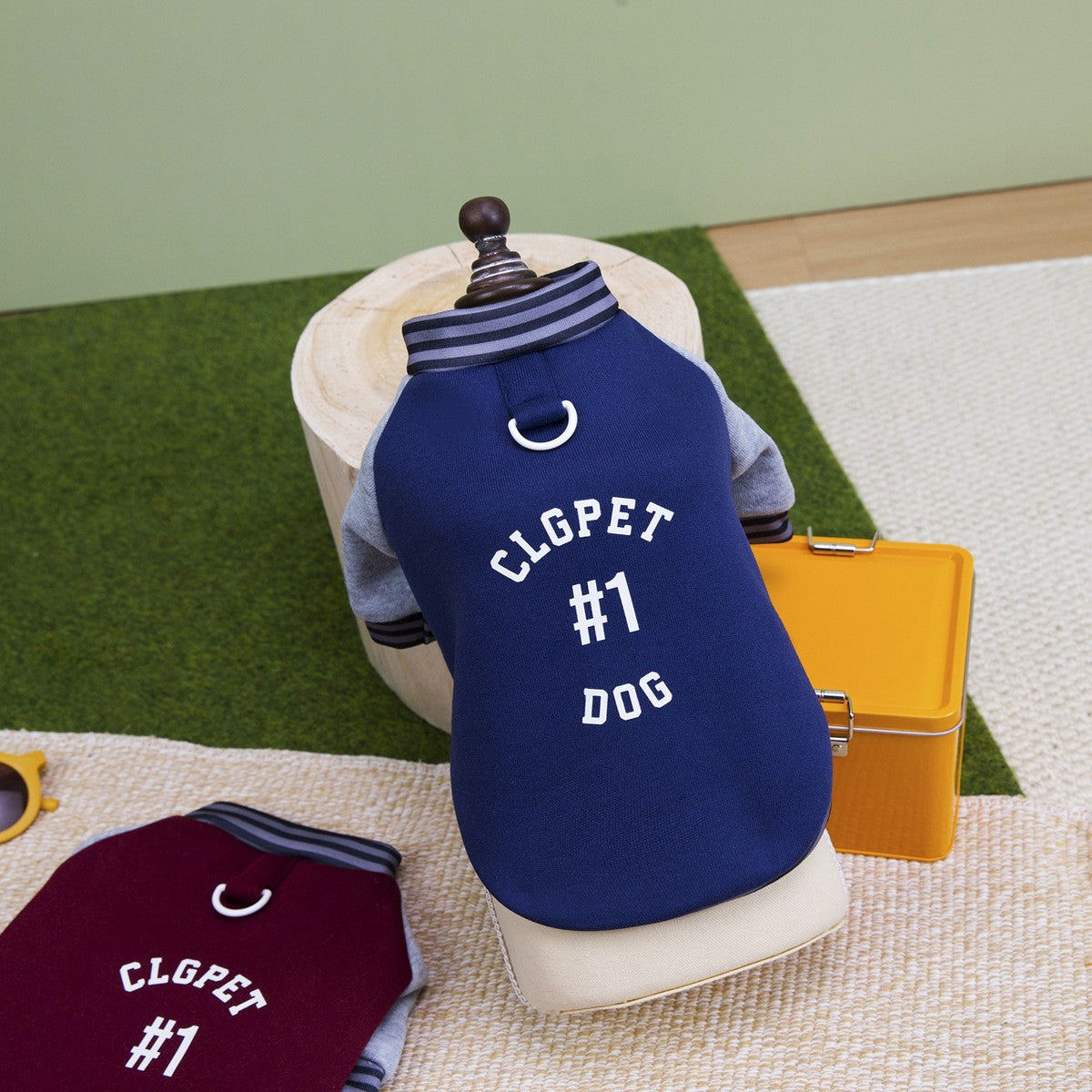 European Style Thick Dog Hoodie Small Dogs_CWMM12253