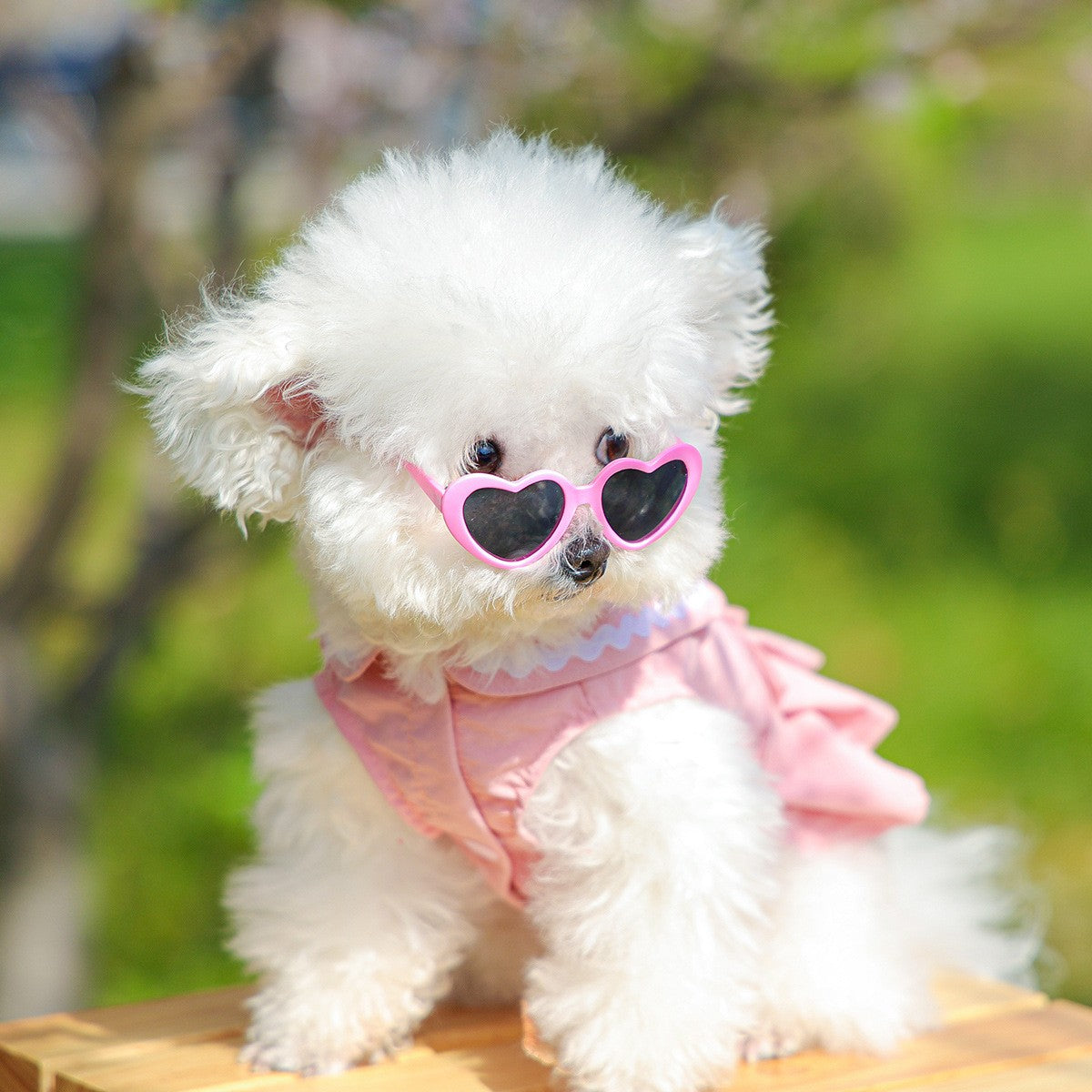 Dog Cute Heart Tutu Dress Harness Outfit_CWMM13092
