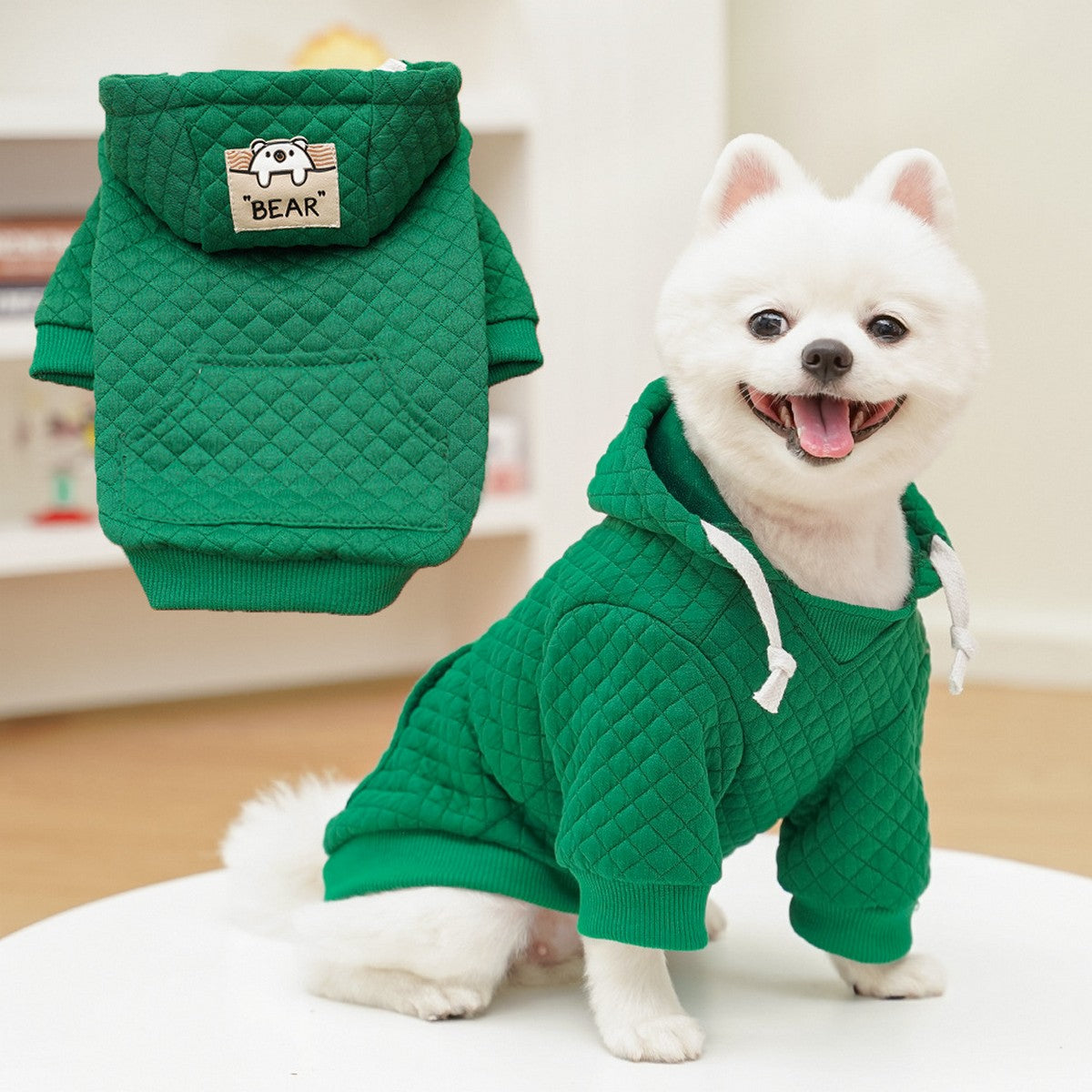 Sporty Pet Hoodie – Warm Fall & Winter Outfit_CWMM11082