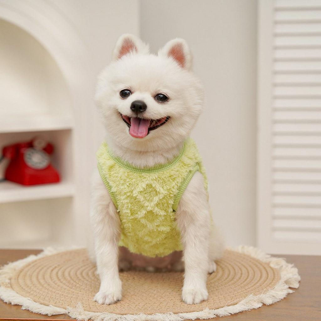 Plush Lined Coat for Small Dogs & Cats_CWMM11119