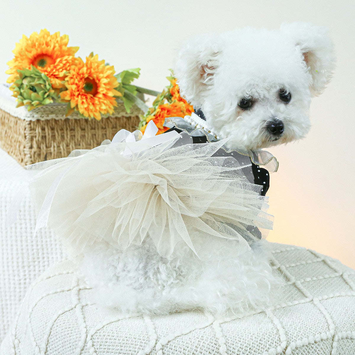 Cute Pet Princess Dress Tulle Lace Skirt_CWMM13013