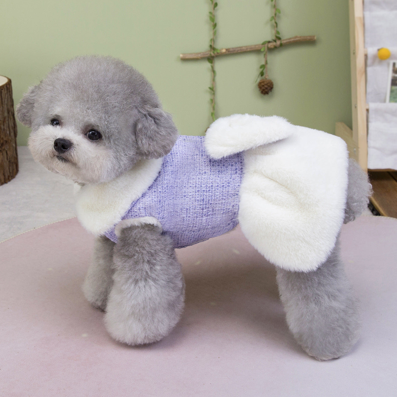 Teddy Bichon Dog Winter Princess Dress_CWMM12201