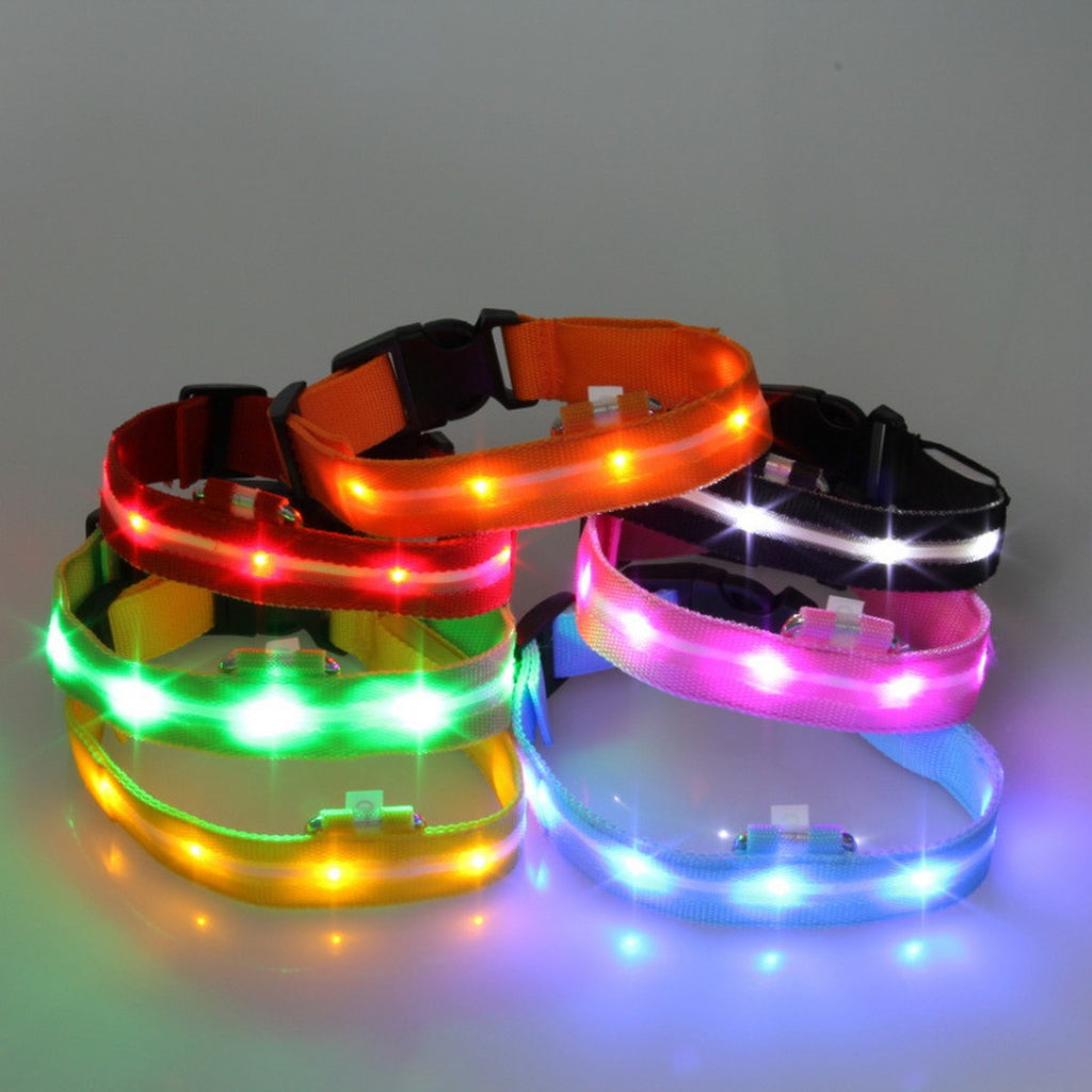 LED Nylon Dog Collar USB Night Safety Glow_CWMM11453