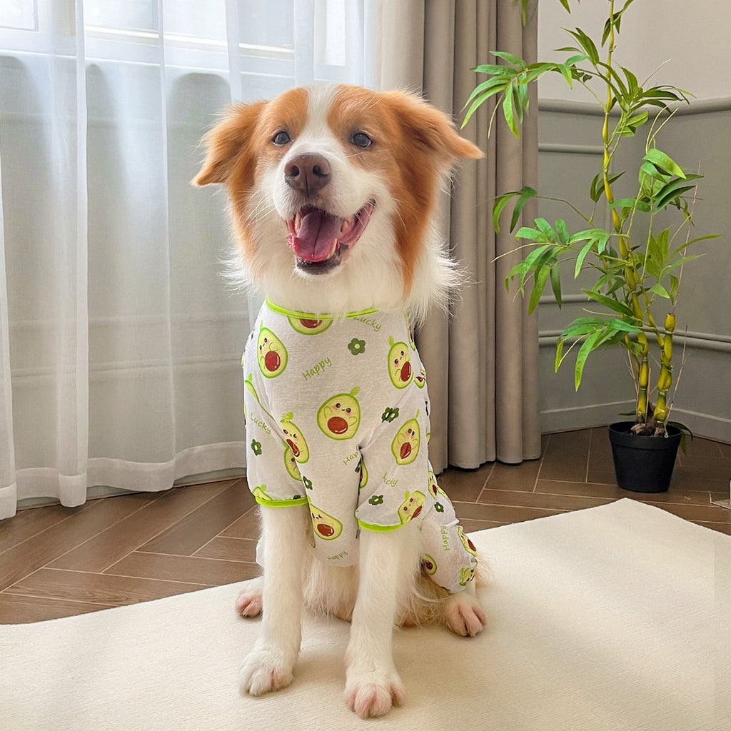 Spring Summer Cat & Dog Rompers_CWMM11132