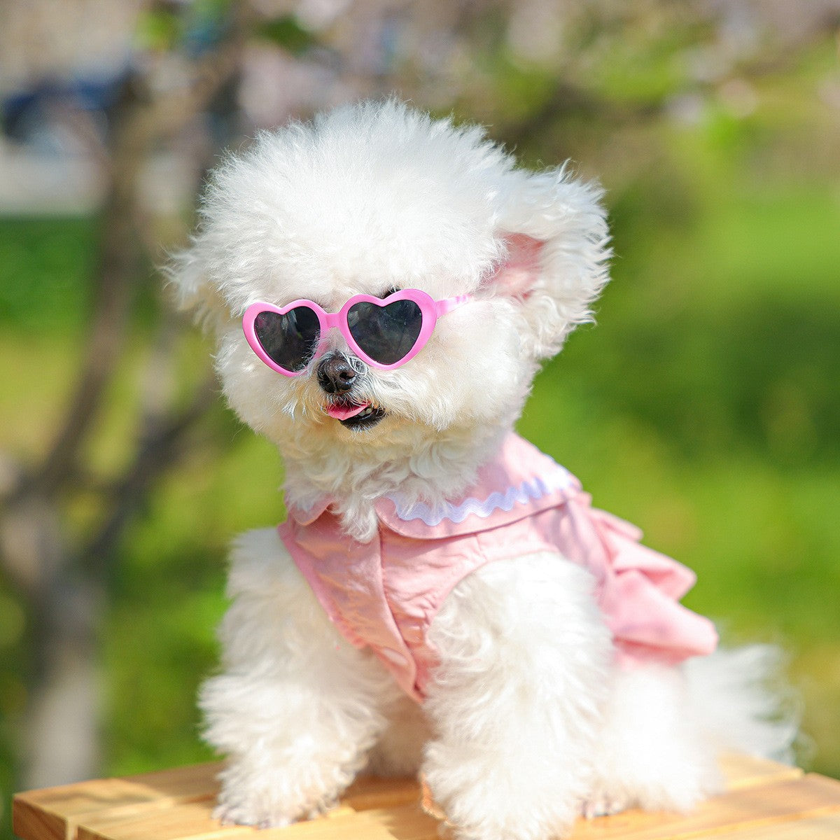 Dog Cute Heart Tutu Dress Harness Outfit_CWMM13092