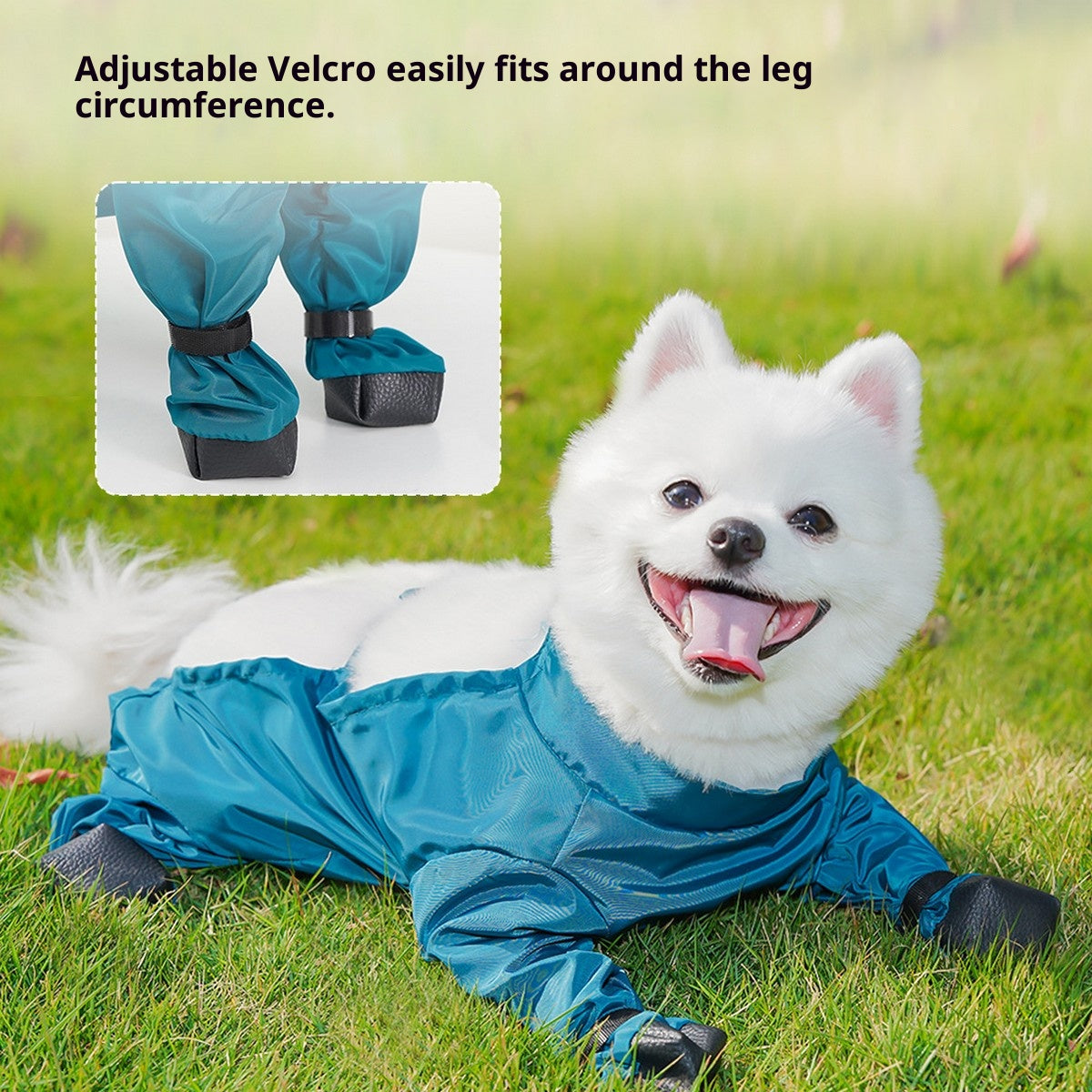 Pet Outdoor Pants – Dog Rainwear for Small Dogs_CWMM11087
