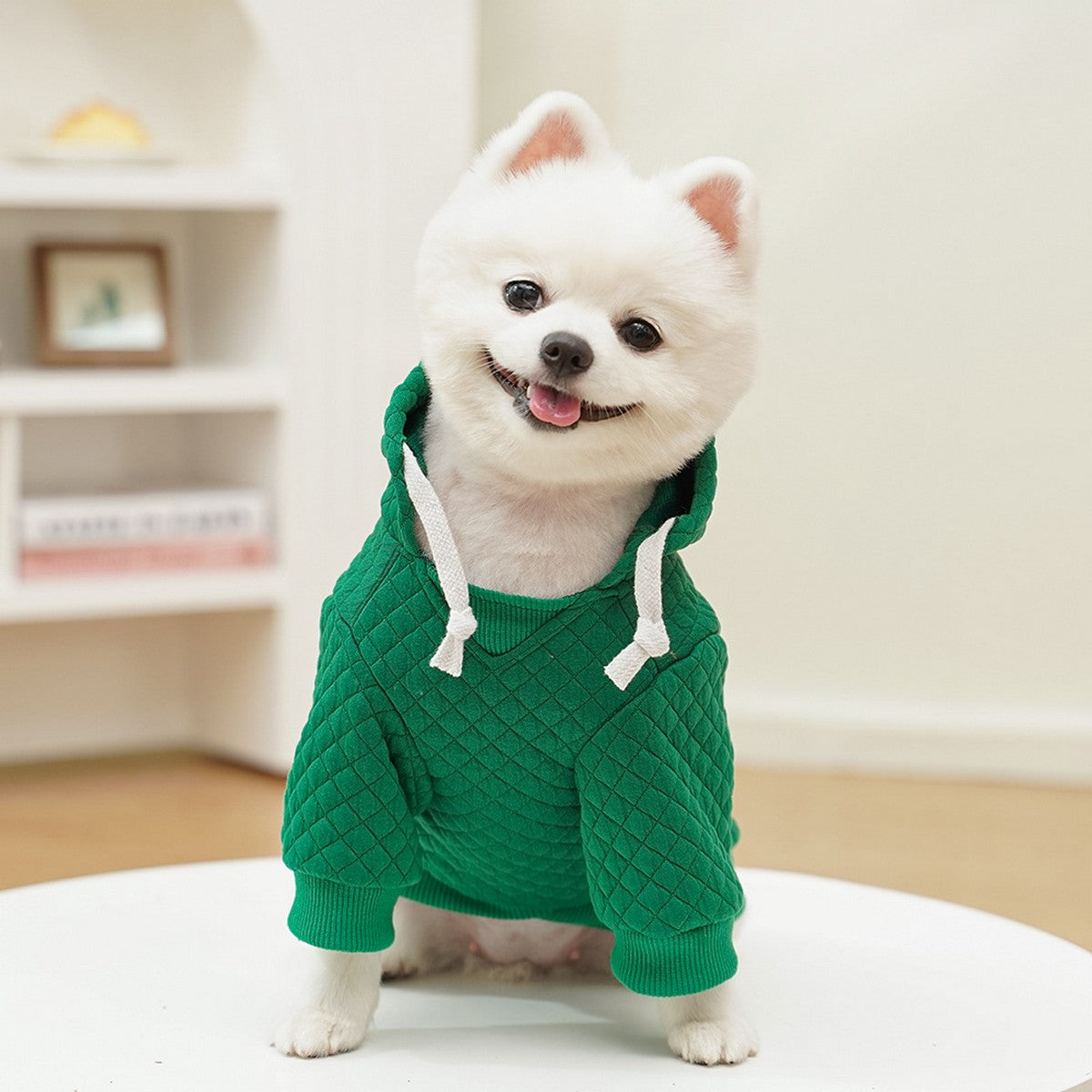 Sporty Pet Hoodie – Warm Fall & Winter Outfit_CWMM11082