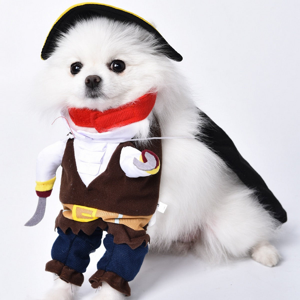 Small Dog Cat Cosplay Pirate Costume_CWMM12815