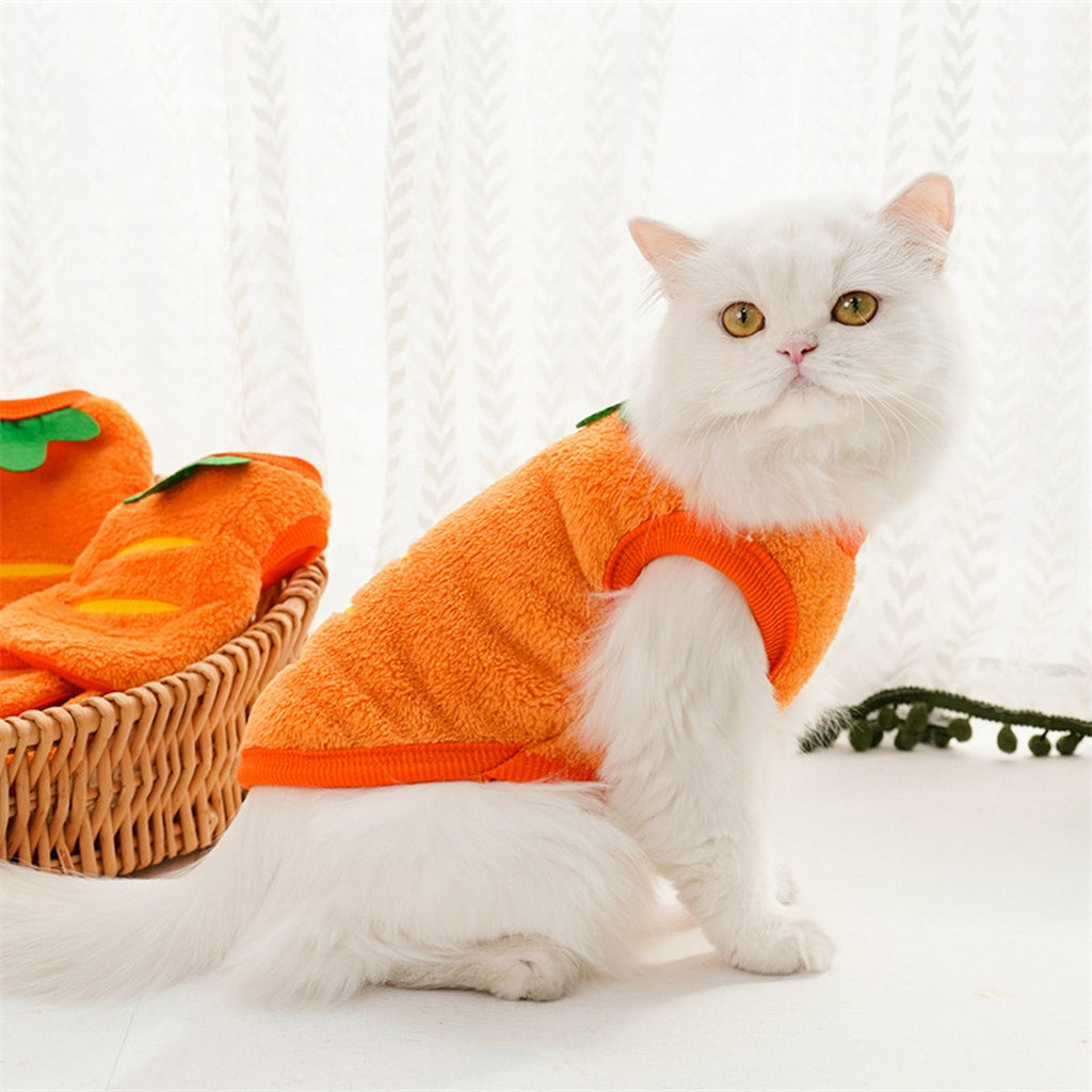Wholesale Carrot Dog Clothes for Winter Teddy Bichon Corgi_CWMM11129