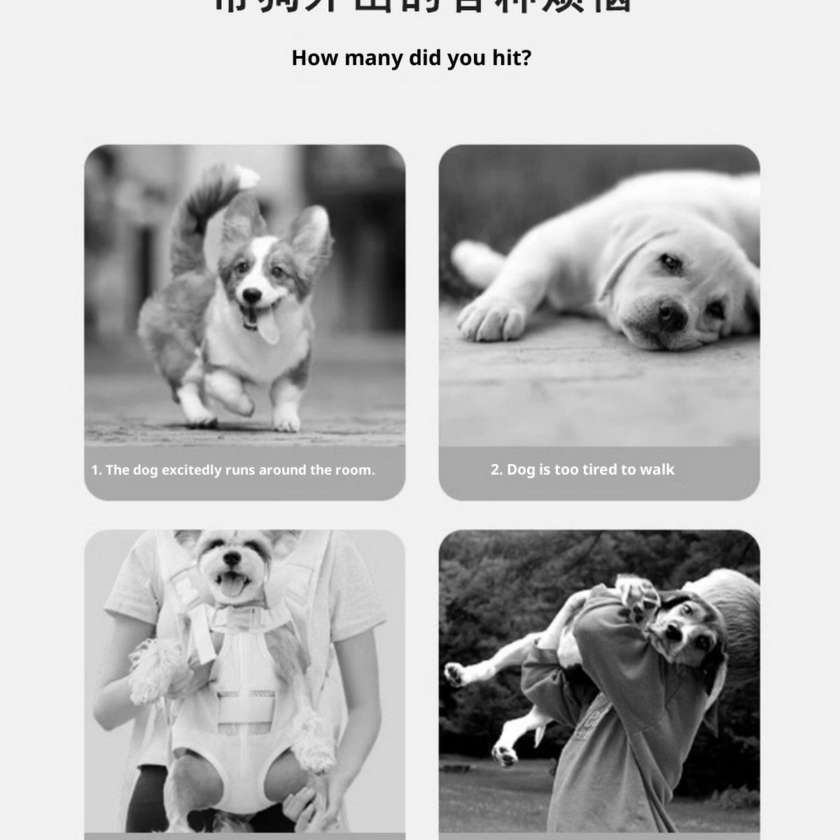 Portable Pet Travel Bag – Breathable Dog & Cat Carrier_CWMM11073