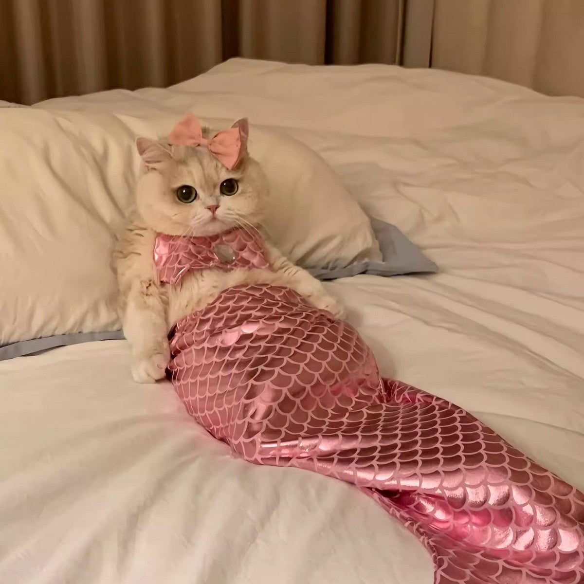 Pet Standing Mermaid Costume Outfit_CWMM12880