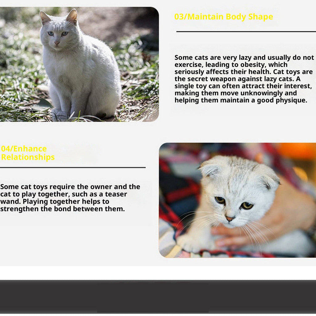 Interactive Cat Toy Set Wand & Tunnel_CWMM11488