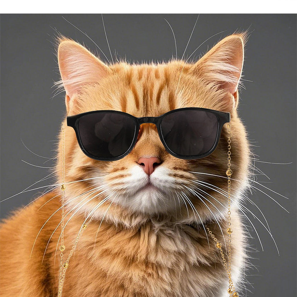 Pet Sunglasses Set – Cool Dog Cat Photo Props_CWMM11277