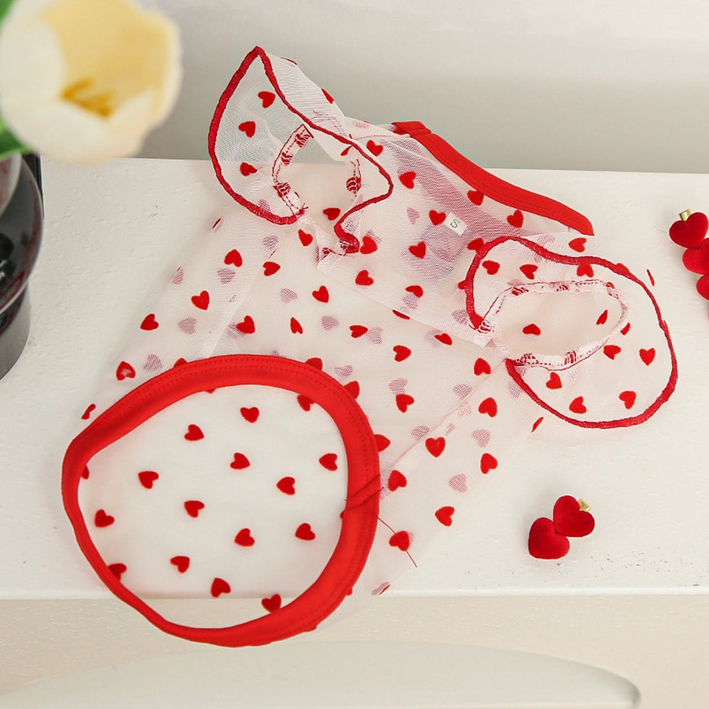 Airy Mesh & Flutter Sleeve Design_CWMM11125