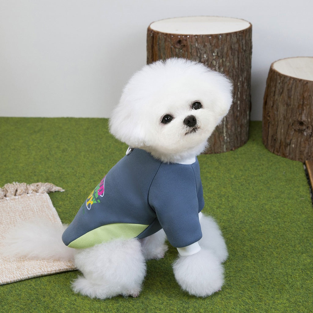 Warm Fleece Dog Cat Hoodie Small Dogs_CWMM12250