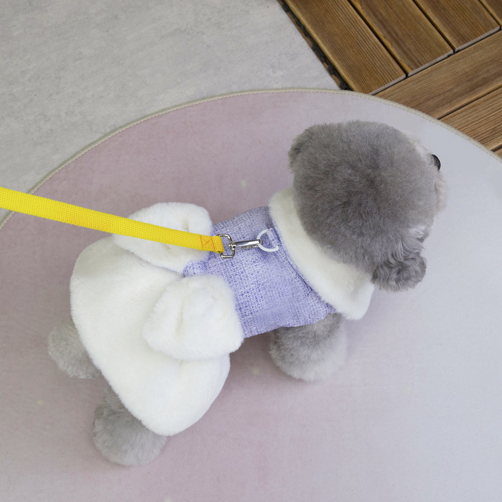 Teddy Bichon Dog Winter Princess Dress_CWMM12201