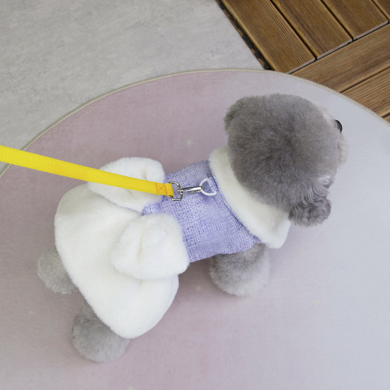 Teddy Bichon Dog Winter Princess Dress_CWMM12201