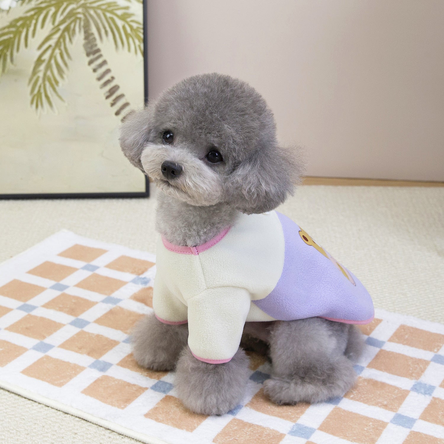 Cute Fleece Dog Vest for Small Dogs_CWMM12199