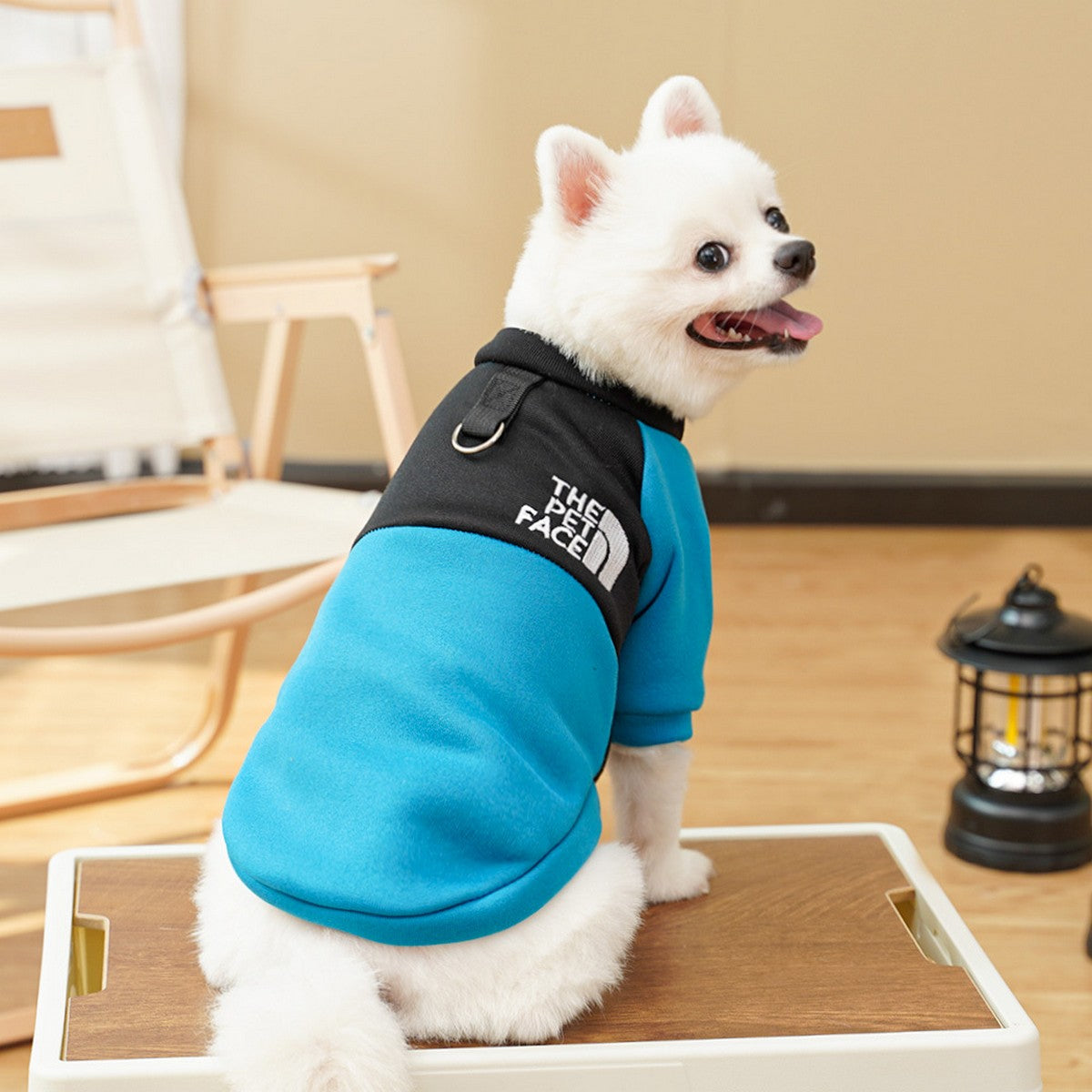 Fleece Lined Dog Clothes for Four Season_CWMM11123