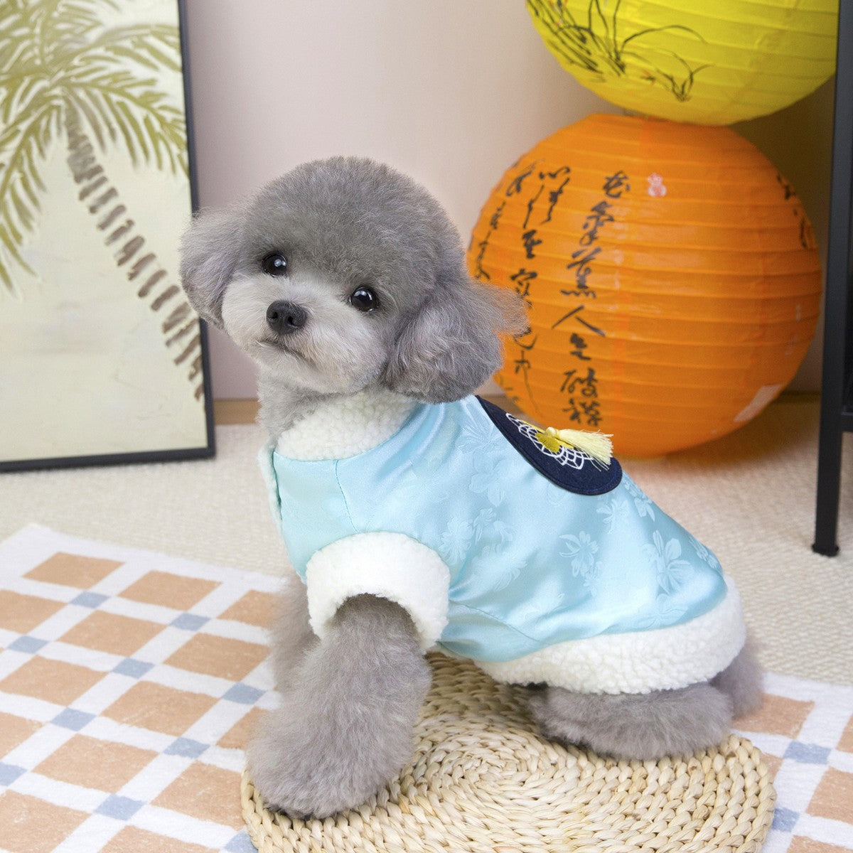 Elegant Korean Dog Winter Coat Small Doga_CWMM12278