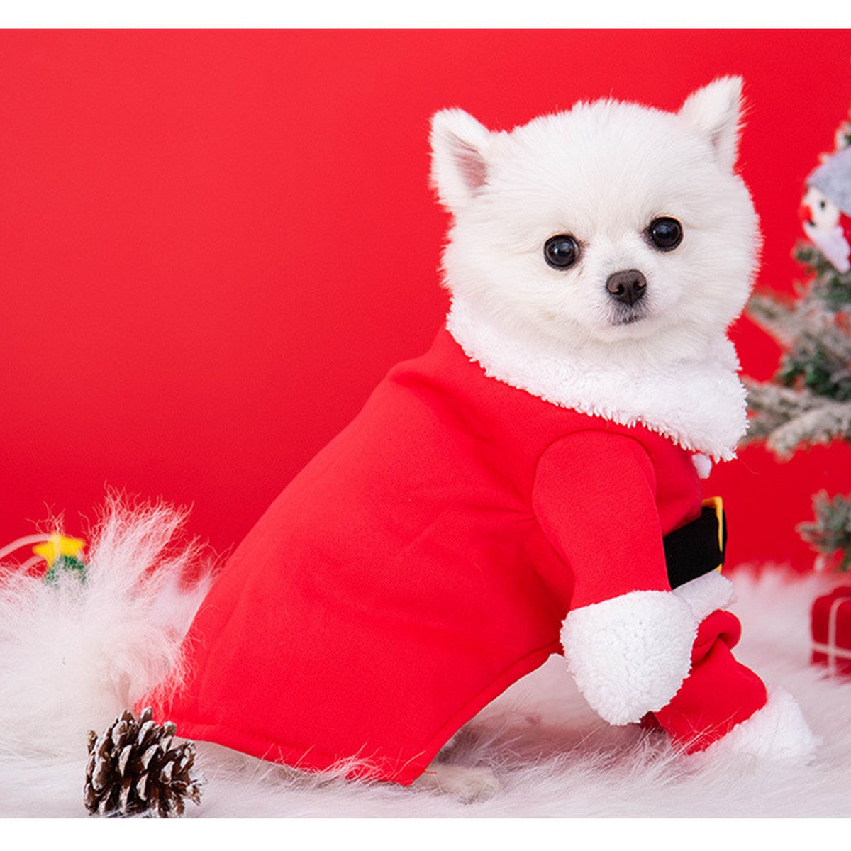 Pet Christmas Costume for Dogs and Cats_CWMM12878