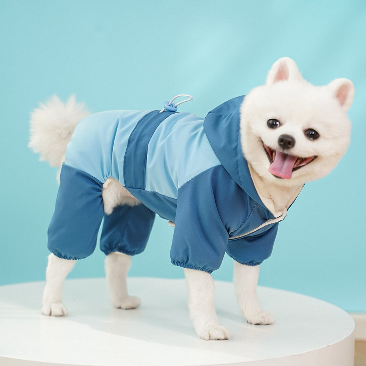 Waterproof 4-Leg Winter Jacket for Large Dogs_CWMM11079