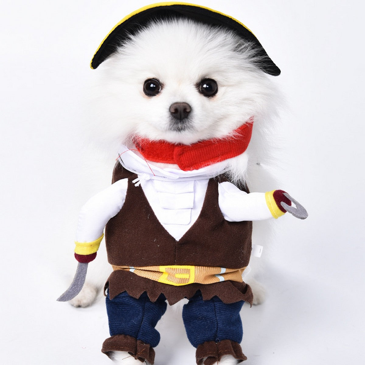 Small Dog Cat Cosplay Pirate Costume_CWMM12815