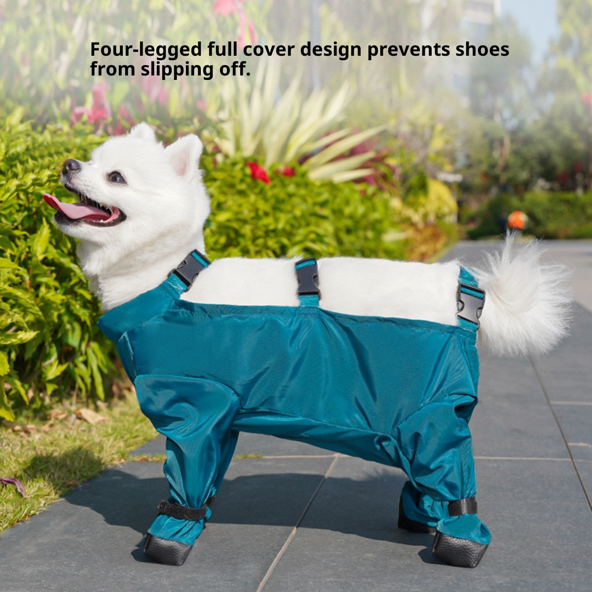 Pet Outdoor Pants – Dog Rainwear for Small Dogs_CWMM11087